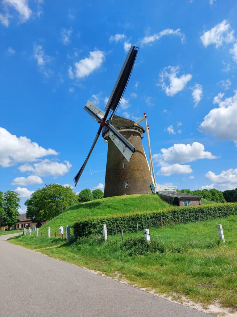 De Bronkhorster molen